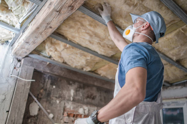 Best Best Insulation Companies  in Edgewood, TX